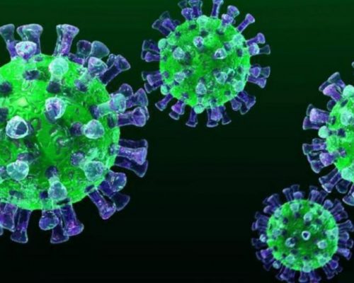 На Житомирщині станом на 20 березня 2 підтверджених випадки коронавірусної інфекції