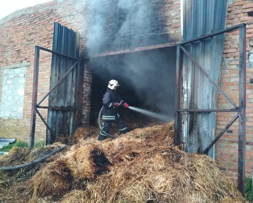 Внаслідок пожежі в с.Гай, Житомирського району постраждала ферма по розведенню малої рогатої худоби