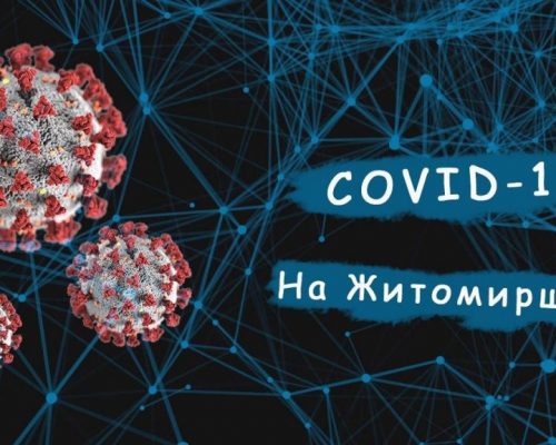 За минулу добу в Житомирській області виявлено 37 нових випадків захворювання на COVID-19, з них 2 у Житомирському районі
