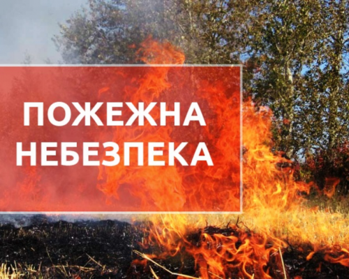 ДСНС закликає громадян дотримуватися правил безпеки в екосистемах під час пожежонебезпечного періоду!