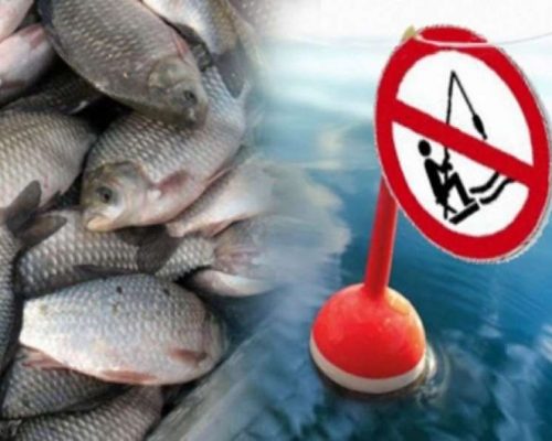 Встановлюється заборона на вилов водних біоресурсів