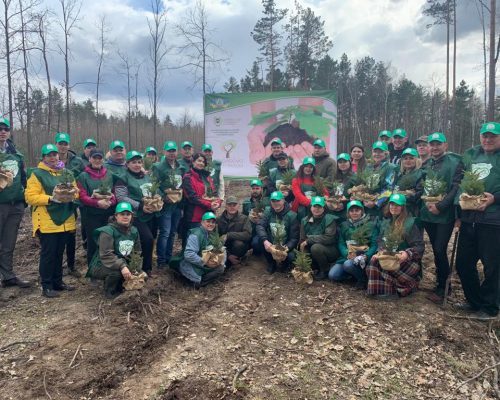 Житомирський район долучився до акції «Створюємо ліси разом». ФОТО