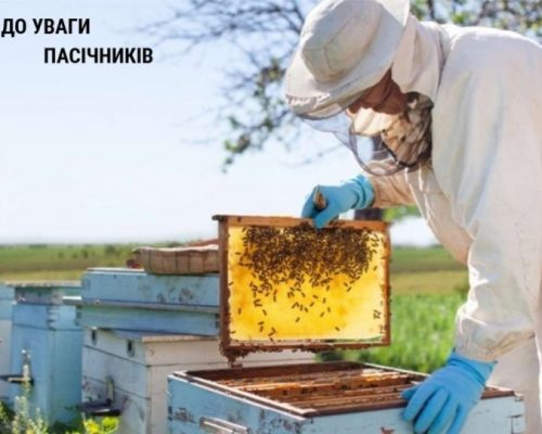 Що потрібно знати про зміни стосовно видачі (реєстрації) ветеринарно-санітарних паспортів пасік