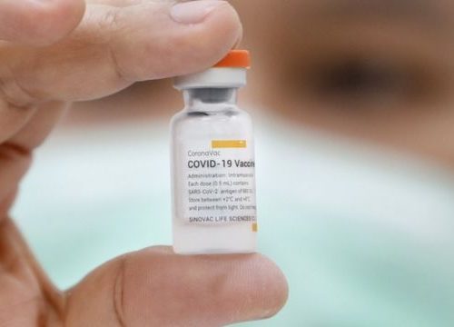 Вакцинація від COVID-19 на Житомирщині: до області надійде більше 2,5 тисяч флаконів вакцини CoronaVac
