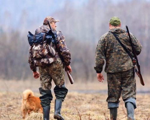 Пам’ятка мисливцям про недопущення виникнення на території району африканської чуми свиней