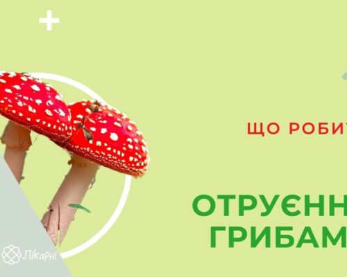 Держпродспоживслужба Житомирщини інформує: профілактика та перша допомога при отруєнні грибами