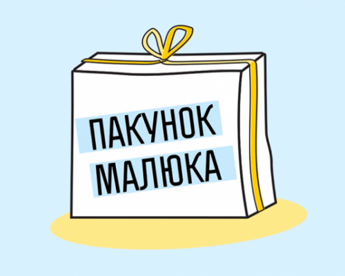 У Житомирській області з початку року більше 400 батьків новонароджених отримали «пакунки малюка»