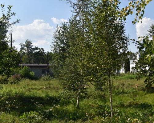 У селі Березівка за кошти міжнародних партнерів буде зведено дитячий будинок сімейного типу – другий у Житомирському районі